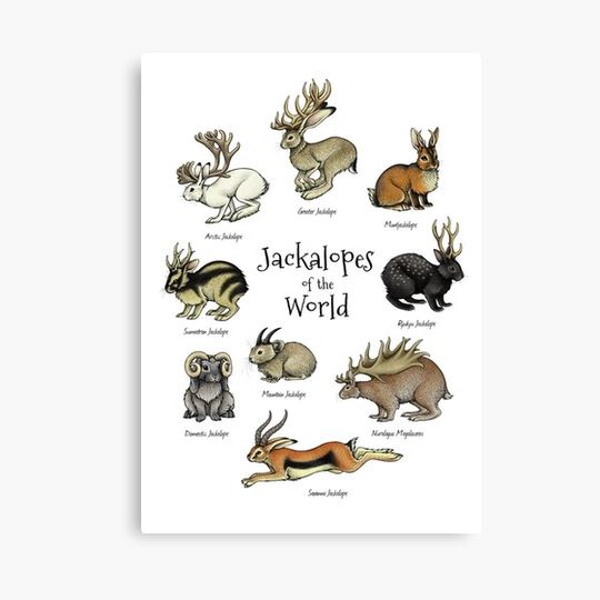Discover Jackalopes of the World Canvas