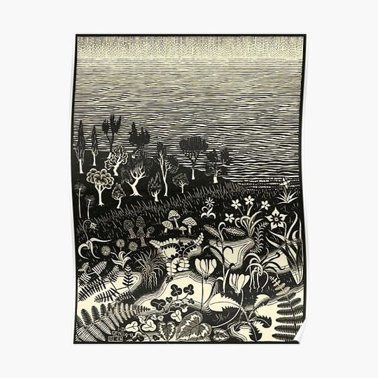 Discover M.C. Escher - The 3rd Day of the Creation, 1926 Premium Matte Vertical Poster