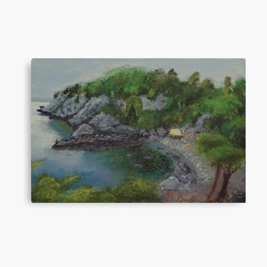 Discover Moonrise kingdom Canvas