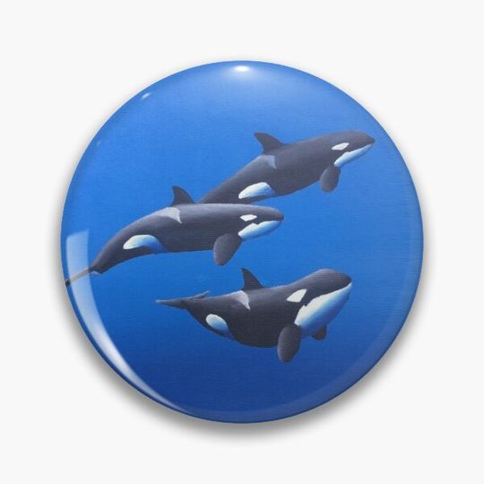 Discover Antarctic Song Pin Button