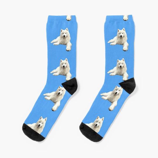Discover Samoyed Looking Good! Socks