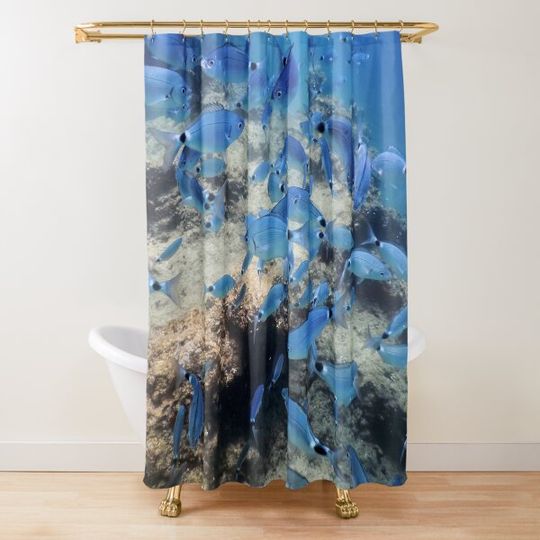Discover Fish School Underwater Shower Curtain