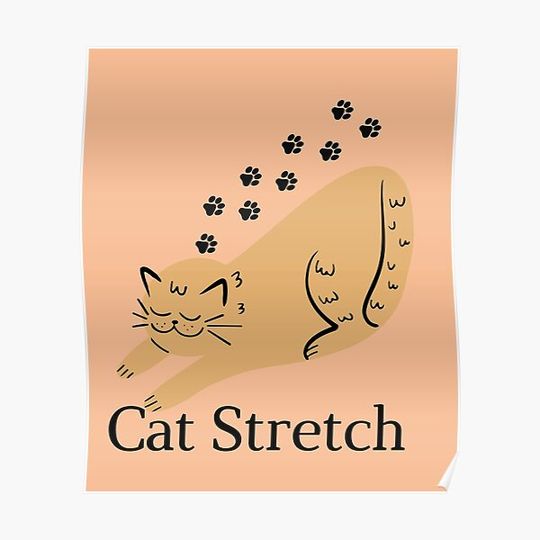 Discover Cat Stretch Premium Matte Vertical Poster
