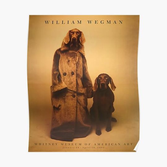 Discover William Wegman exhibition Premium Matte Vertical Poster