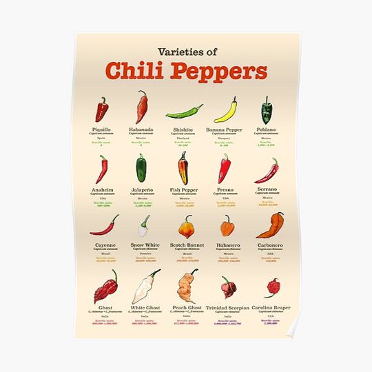 Discover Varieties of Chili Peppers Poster Premium Matte Vertical Poster