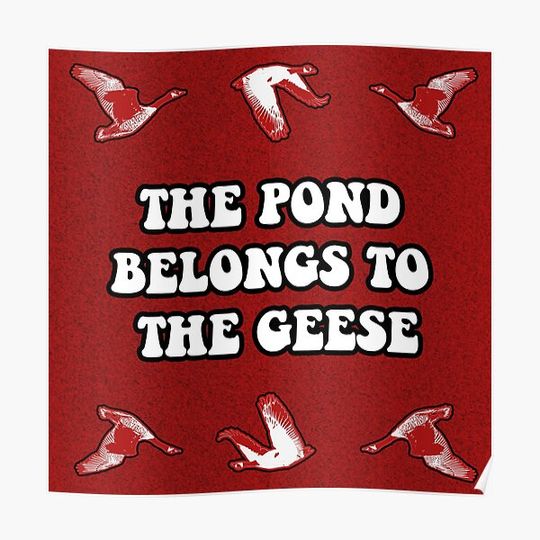 Discover UMass Amherst - The Pond Belongs to the Geese Premium Matte Vertical Poster