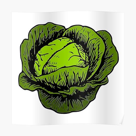 Discover Cabbage Premium Matte Vertical Poster