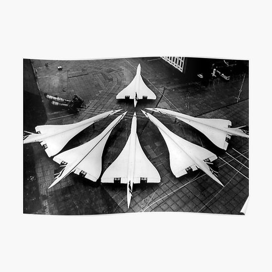 Discover Entire British Concorde Fleet Heathrow 1986 Premium Matte Vertical Poster