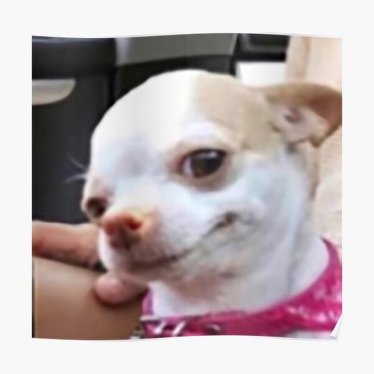 Discover Funny Dog Meme Premium Matte Vertical Poster