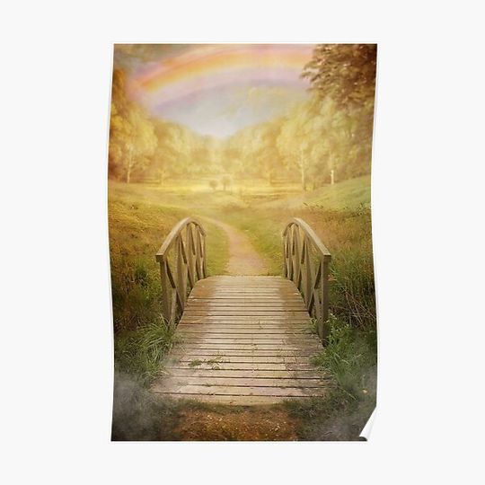 Discover Rainbow Bridge Premium Matte Vertical Poster