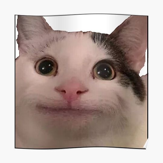 Discover Polite cat meme, funny cat meme Premium Matte Vertical Poster