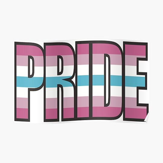 Discover Femboy Flag - Femboy Pride Flag Premium Matte Vertical Poster