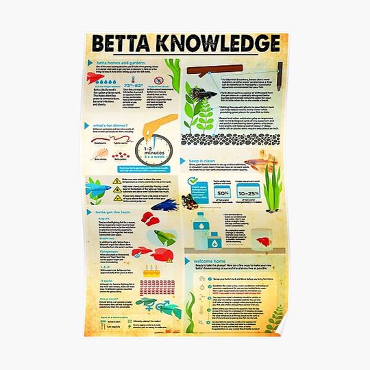 Discover Betta Fish Knowledge Premium Matte Vertical Poster
