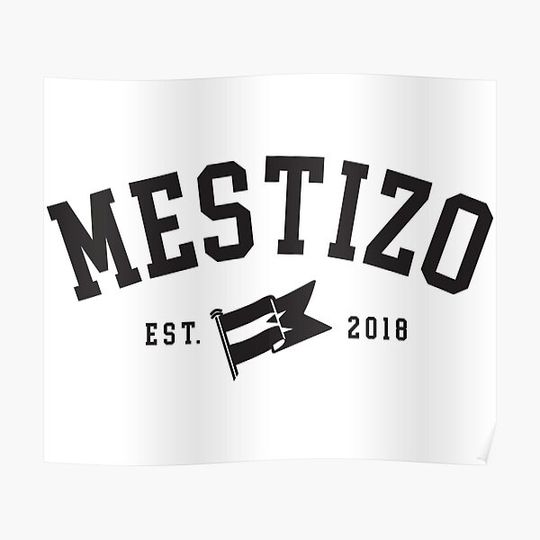 Discover Mestizo Collegiate Black Premium Matte Vertical Poster