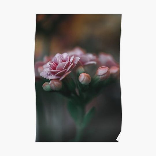 Discover FLAMING KATY Premium Matte Vertical Poster