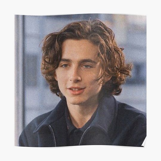 Discover Timothee! Premium Matte Vertical Poster
