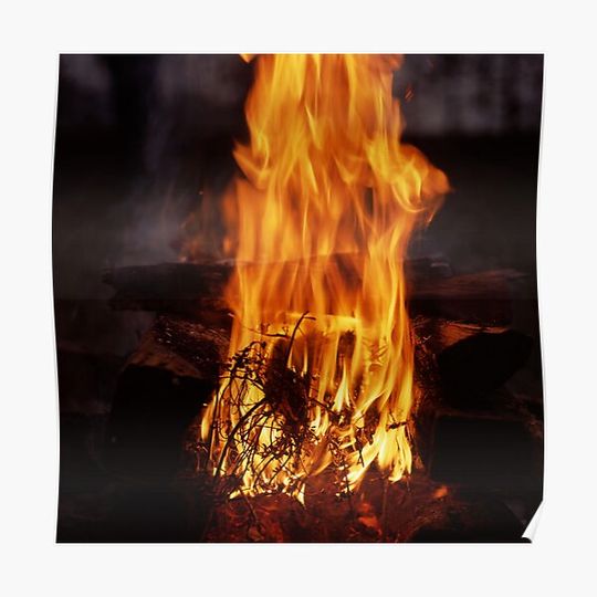 Discover Bonfire Premium Matte Vertical Poster