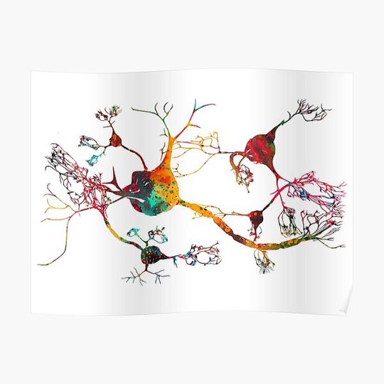 Discover Neurons and nervous system Premium Matte Vertical Poster
