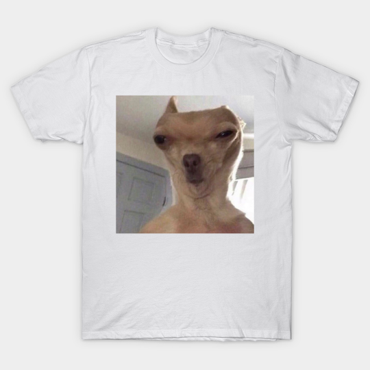 Discover Chihuahua meme - Funny - T-Shirt