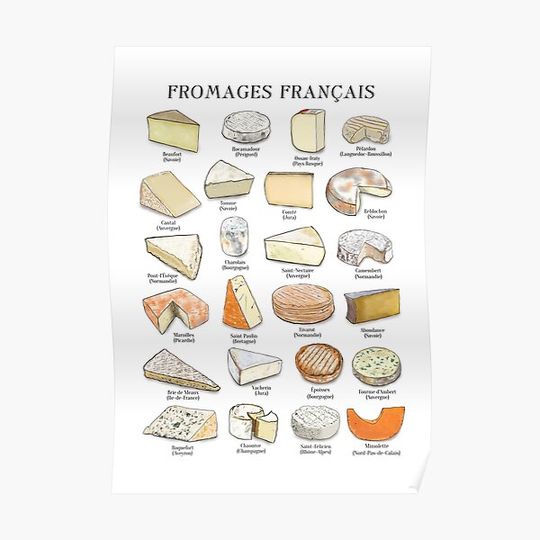 Discover French Cheese Chart Premium Matte Vertical Poster