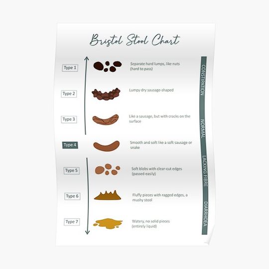 Discover Bristol Stool chart Premium Matte Vertical Poster