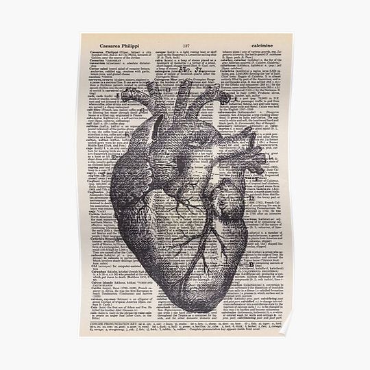 Discover Human Heart Diagram Premium Matte Vertical Poster