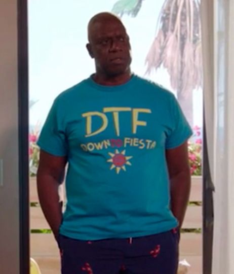 Discover DTF T-shirt - Down to Fiesta Tshirt - Brooklyn 99 T Shirt