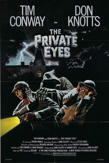Discover The Private Eyes  1980 vintage one sheet poster