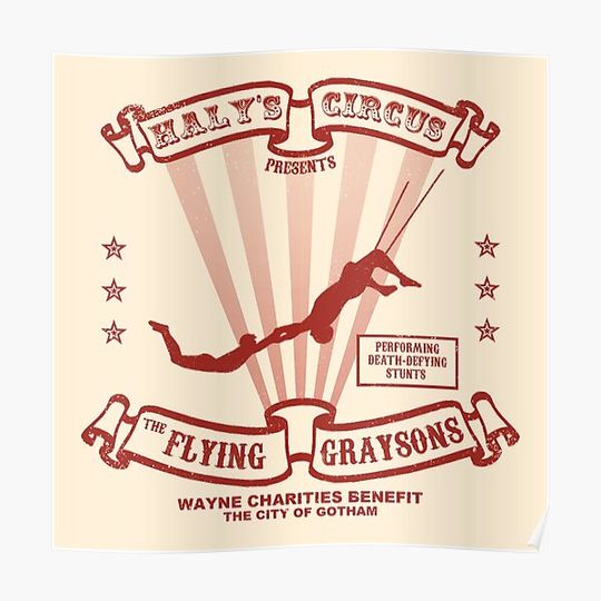 Discover The Flying Graysons Poster
