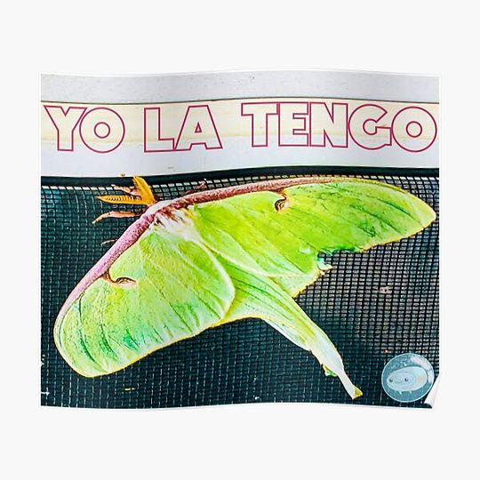 Discover Yo La Tengo Premium Matte Vertical Poster