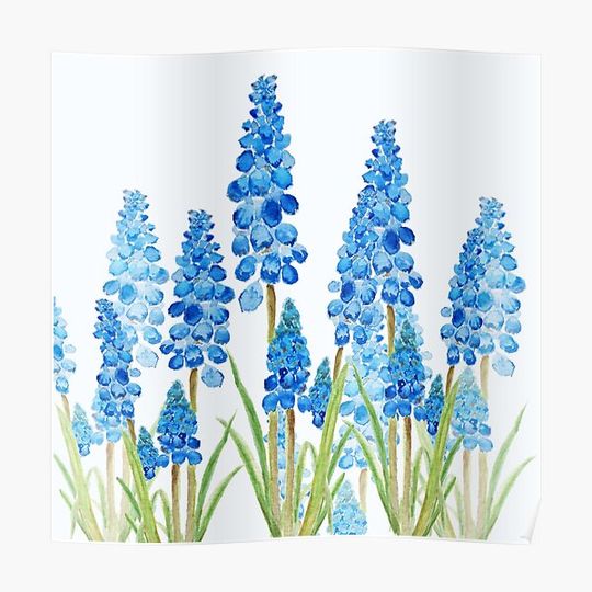 Discover blue grape hyacinth forest Premium Matte Vertical Poster