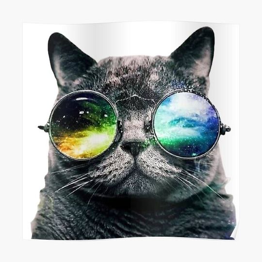 Discover Cat with glasses. Premium Matte Vertical Poster