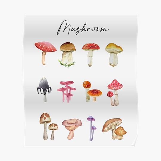 Discover Assorted and magical mushrooms Premium Matte Vertical Poster