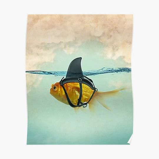 Discover Brilliant DISGUISE - Goldfish with a Shark Fin Premium Matte Vertical Poster