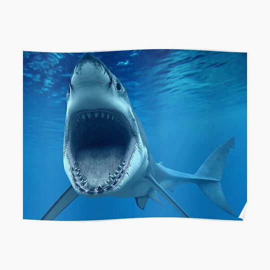 Discover Megalodon Premium Matte Vertical Poster