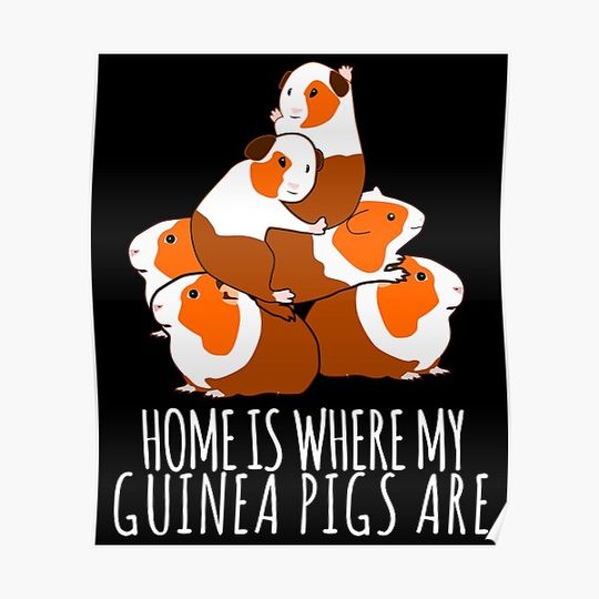 Discover Guinea Pigs Guinea Pigs Premium Matte Vertical Poster