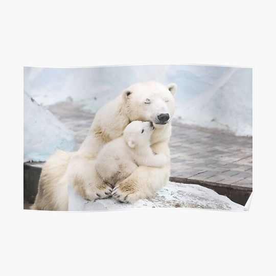 Discover Polar Bear and baby Premium Matte Vertical Poster