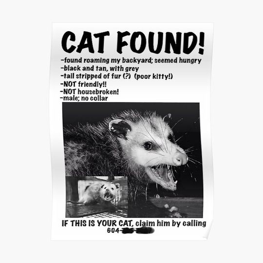 Discover Cat Found Notice (joke) Premium Matte Vertical Poster