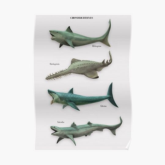 Discover PREHISTORIC SHARKS. paleoart Premium Matte Vertical Poster