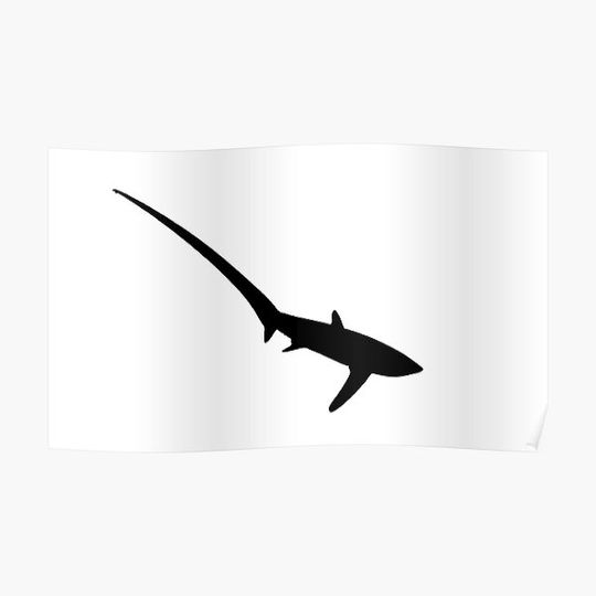 Discover Thresher Shark black and white silhouette Premium Matte Vertical Poster