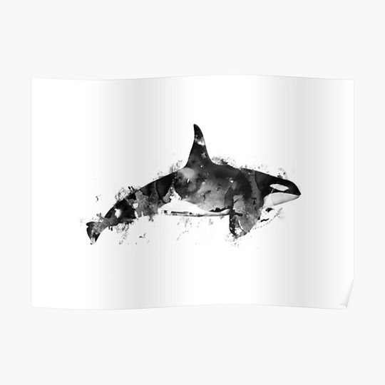 Discover Killer Whale Premium Matte Vertical Poster