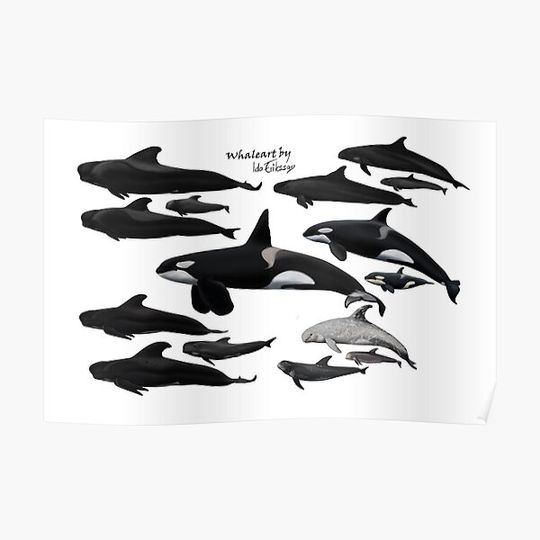 Discover Blackfish species together Premium Matte Vertical Poster