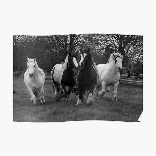Discover Free Rein Premium Matte Vertical Poster