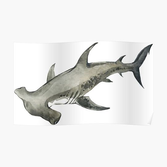 Discover Watercolor Hammerhead Shark Portrait Illustration Premium Matte Vertical Poster