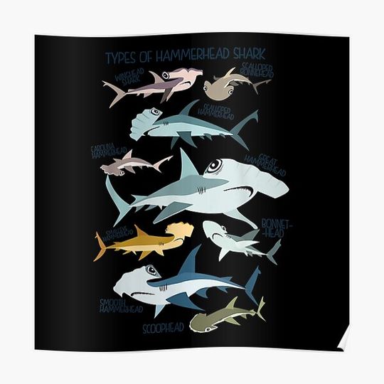 Discover types of HAMMERHEAD shark guide Premium Matte Vertical Poster