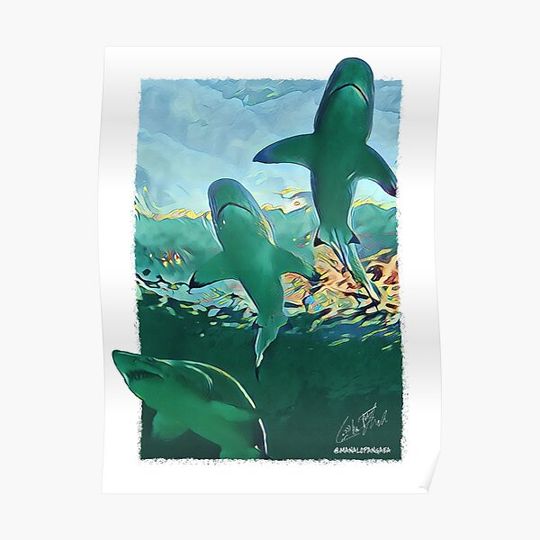 Discover Shark waters Premium Matte Vertical Poster
