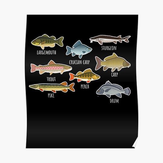 Discover Types Of Sharks Funny Marine Biology Shark Lover Pajamas Premium Matte Vertical Poster