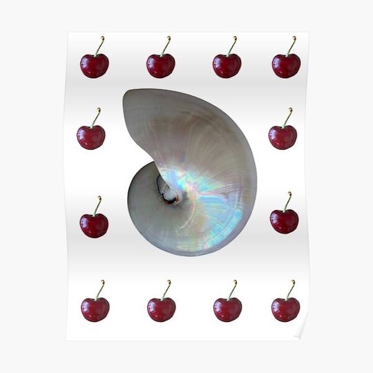 Discover Nautilus Shell - Cherries Premium Matte Vertical Poster
