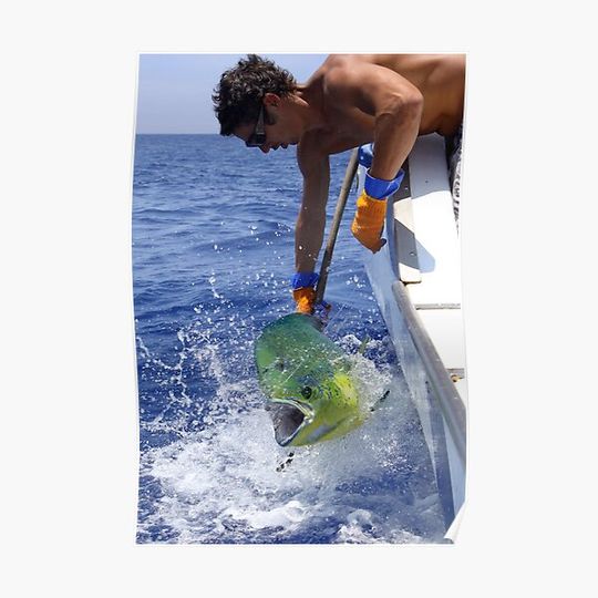 Discover Mahi Mahi Premium Matte Vertical Poster