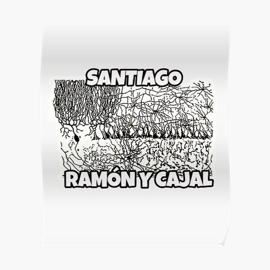 Discover Santiago Ramón y Cajal: Drawing Of The Cells Of The Chick Cerebellum Design Premium Matte Vertical Poster